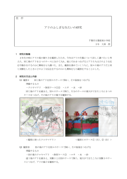 佳 作 アリのふしぎな生たいの研究 千葉市立幕張東小学校 3年 大曻 浬