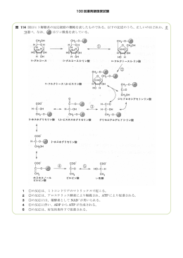 100 回薬剤師国家試験 問 114 図はヒト解糖系の反応経路の概略を表