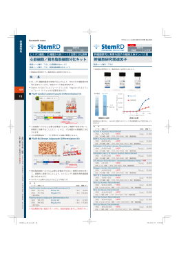 幹細胞研究関連因子 心筋細胞／褐色脂肪細胞分化キット