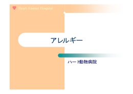 アレルギー - ハート 動物病院