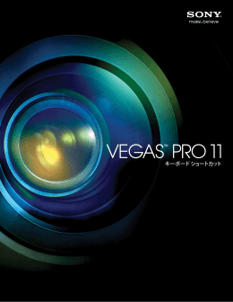 Vegas Pro 11.0 キーボード ショートカット