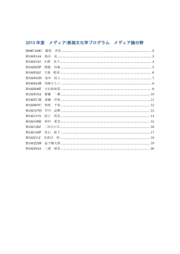2013 年度 メディア /表現文化学プログラム メディア