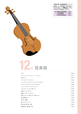 12章 弦楽器