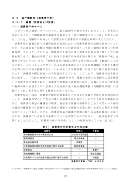 5-2 省庁横断型（消費者庁型） 5-2-1 権限（政策および法律） （1）消費者