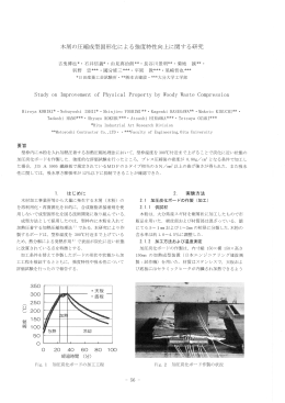 木屑の圧縮成型固形化による強度特性向上に関する研究