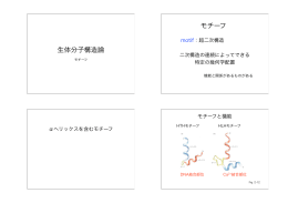 生体分子構造論 モチーフ