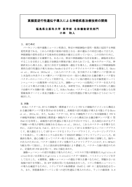 高頻度逆行性遺伝子導入による神経疾患治療技術の開発