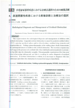 4. 尿道閉塞性疾患における画像診断と治療法の選択