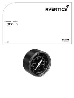圧力ゲージ - Aventics