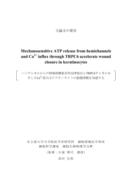 2．甲10755 高田 弘弥 主論文の要旨