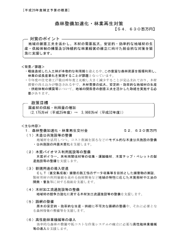 森林整備加速化・林業再生対策（PDF：934KB）