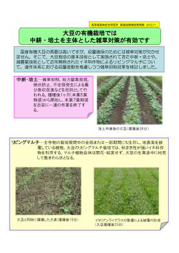 ダイズの有機栽培における中耕・培土およびリビングマルチの雑草抑制効果