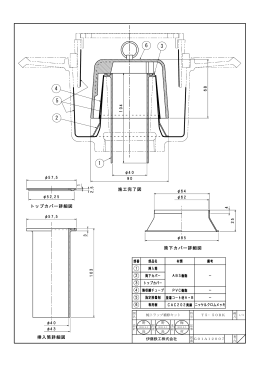 施工完了図 挿入筒詳細図 トップカバー詳細図 筒下カバー詳細図