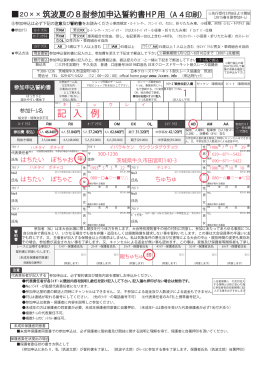 記 入 例 1 - 筑波8時間耐久レース