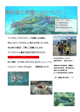 ヤングもシニアもファミリーも気軽に水中散歩。 きれいなサンゴや