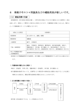 6 車椅子やストマ用装具などの補助用具が欲しいです。（PDF：323KB）