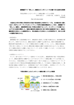 顕微鏡下で「欲しい」細胞をピンポイントで分離できる技術を開発