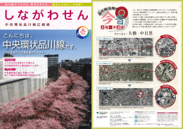 中央環状品川線です。