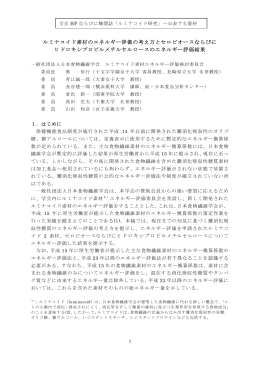 のルミナコイド素材エネルギー評価結果（PDF）