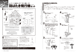 羽ばたき飛行機セット - 大人の科学.net