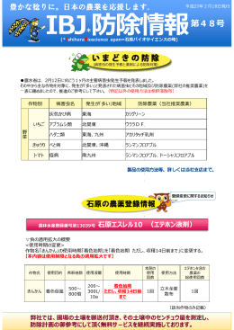 果樹の白紋羽病