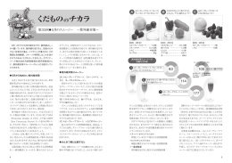 さらに詳しく（PDF版はこちら