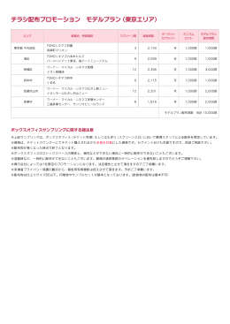 チラシ配布プロモーション モデルプラン（東京エリア）