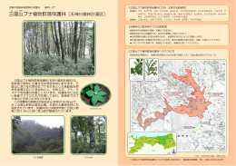 三国山ブナ植物群落保護林［天神川森林計画区］