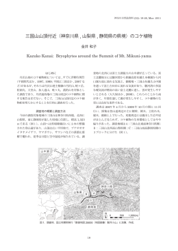 三国山山頂付近（神奈川県 , 山梨県 , 静岡県の県境）のコケ植物