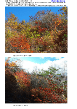紅葉 平標山～三国山 2014年10月9日～11日