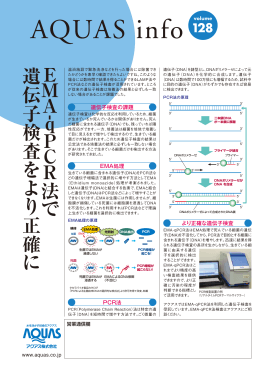 PDFをダウンロードする