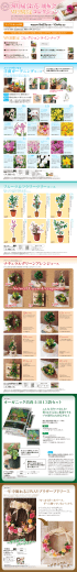 毎月届くお花 の頒布会 毎月届くお花 の頒布会 WEB限定 WEB限定