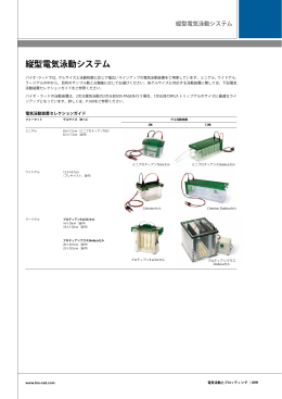 ミニゲルサイズ縦型電気泳動システム - Bio-Rad