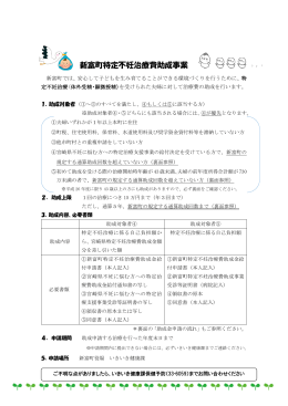 新富町特定不妊治療費助成事業（PDFファイル 220KB