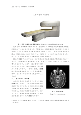 人体の輪切りを診る