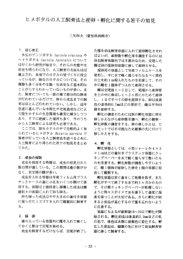 ヒメボタルの人工飼育法と産卵 ・ 卵字化に関する若干の知見