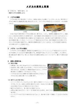 Taro-1. 5-4 メダカの飼育と管理.