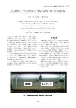 沈水植物による底泥巻上げ抑制効果に関する基礎実験（PDF