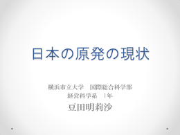 発表資料