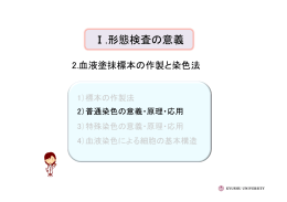 8 普通染色の意義・原理・応用