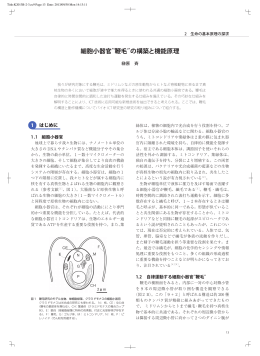 細胞小器官&ldquo;鞭毛&rdquo;の構築と機能原理