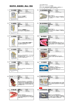 解剖学的 獣医模型 商品一覧表