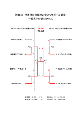 第85回 堺市種目別優勝大会（ソフトボール競技