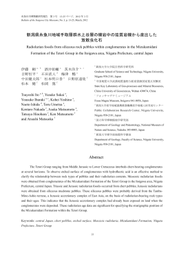新潟県糸魚川地域手取層群水上谷層の礫岩中の珪質岩礫