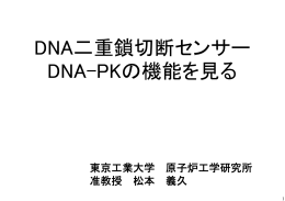 DNA二重鎖切断センサー DNA-PKの機能を見る