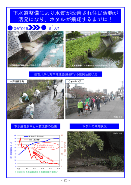 下水道整備により水質が改善され住民活動が 活発になり、ホタルが飛翔