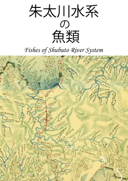 朱太川水系 魚類 - 黒松内生物多様性モニタリング