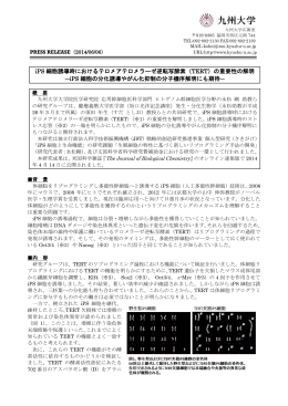 iPS 細胞誘導時におけるテロメアテロメラーゼ逆転写酵素