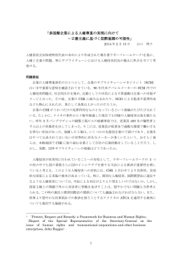 「多国籍企業による人権尊重の実現に向けて －立憲主義に基づく国際