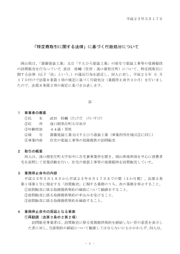 平成25年 5月17日 [PDFファイル／140KB]